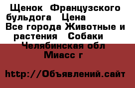 Щенок  Французского бульдога › Цена ­ 35 000 - Все города Животные и растения » Собаки   . Челябинская обл.,Миасс г.